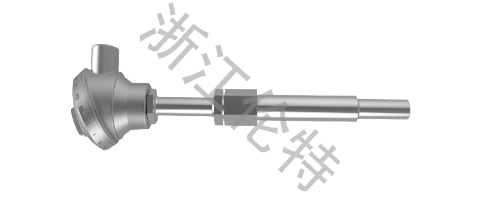 Sanitary type RTD