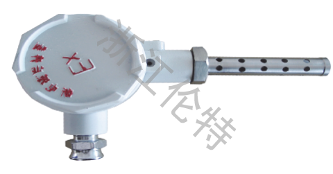 Indoor Thermometer
