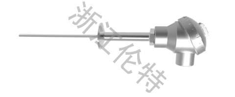 Sanitary type RTD