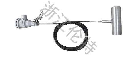 小直徑管道直接測溫溫度計(jì)