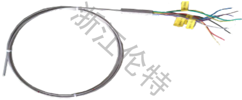 Single Multi Point Thermocouple