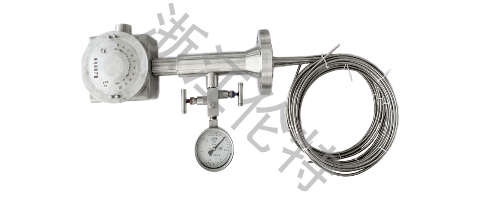 Multipoint Thermocouple for Ethylene Glycol Reactor