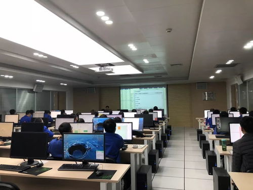 集團舉辦青工常用辦公軟件技能提升培訓與技術比武，賦能軟件技術開發人才成長